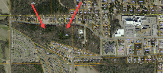 HOSPITAL RD & REED RD 16.5 AC, STARKVILLE, MS 39759, photo 4 of 15