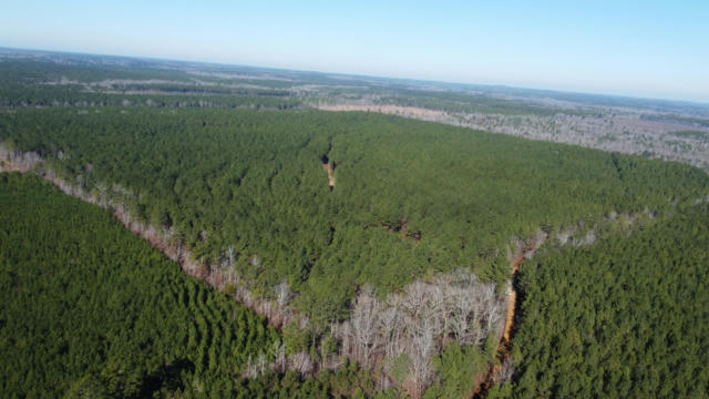 GRAY RD, STARKVILLE, MS 39759, photo 3 of 31