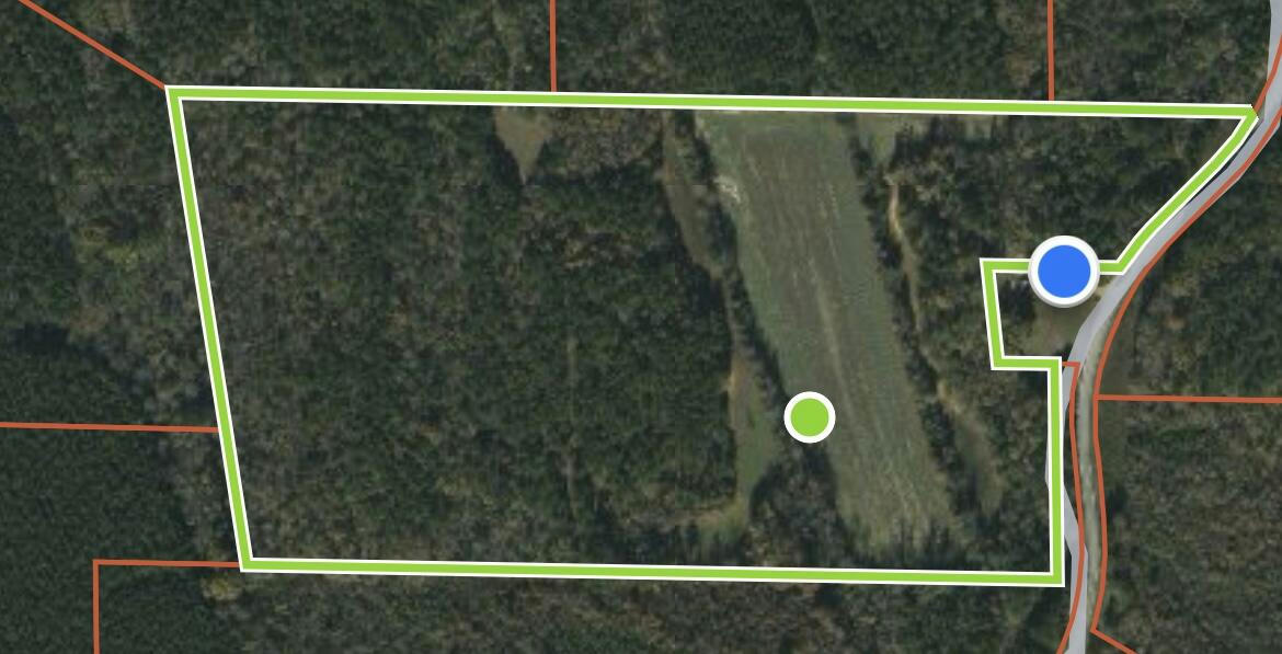 0 COUNTY RD 4130, NEW SITE, MS 38859, photo 1 of 6