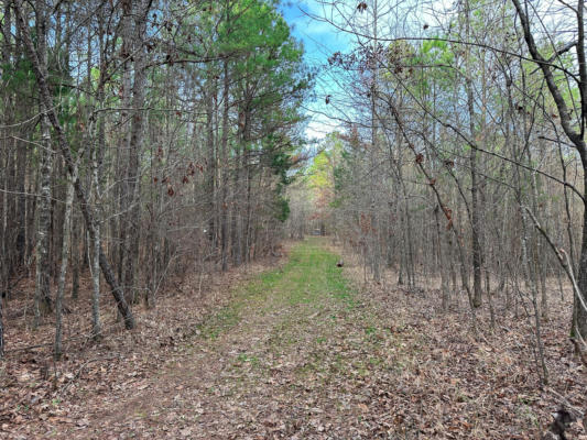 DIXIE RD, WOODLAND, MS 39776, photo 5 of 19