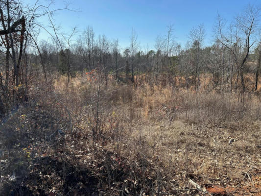 0 COUNTY RD 4130, NEW SITE, MS 38859, photo 4 of 6