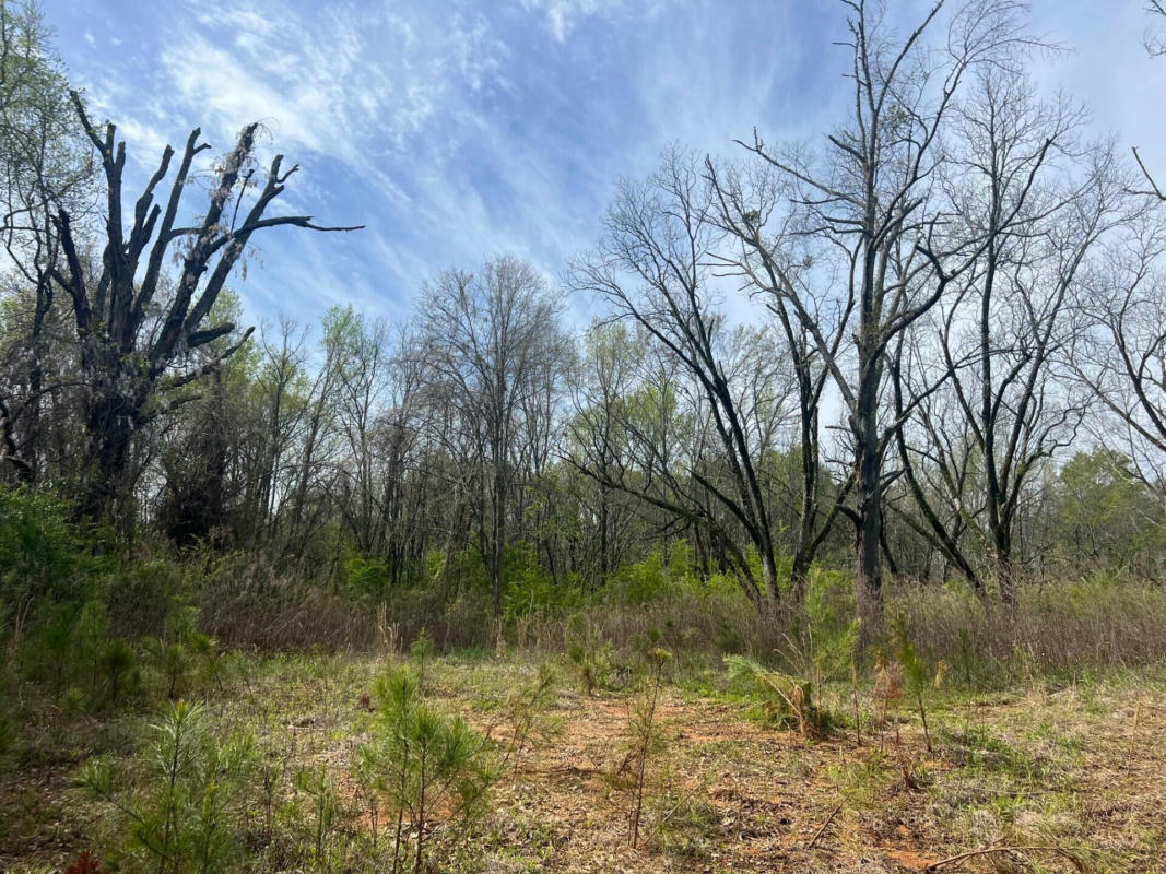 HWY 14, LOUISVILLE, MS 39339, photo 1 of 7