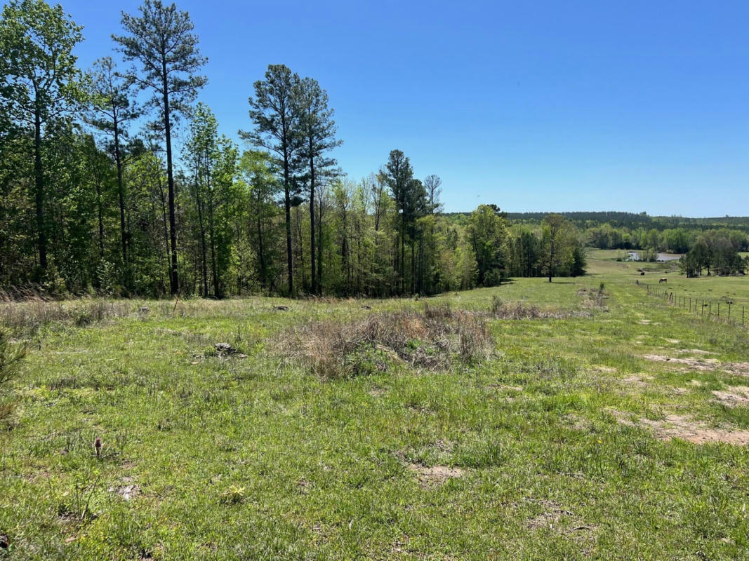 COUNTY RD 70, WOODLAND, MS 39776, photo 1 of 21