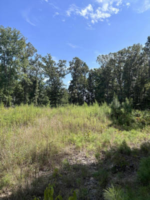 TBD EDGEWOOD DR, EUPORA, MS 39744 - Image 1