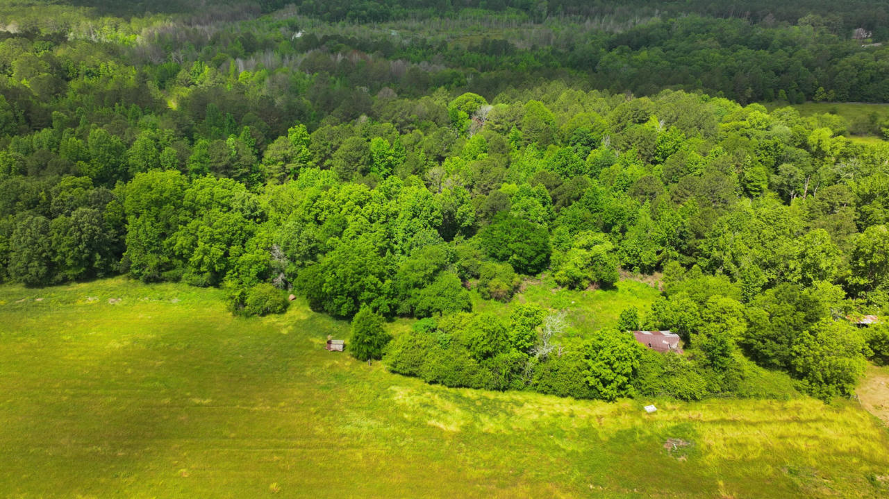 HUGHES RD, COLUMBUS, MS 39702, photo 1 of 18