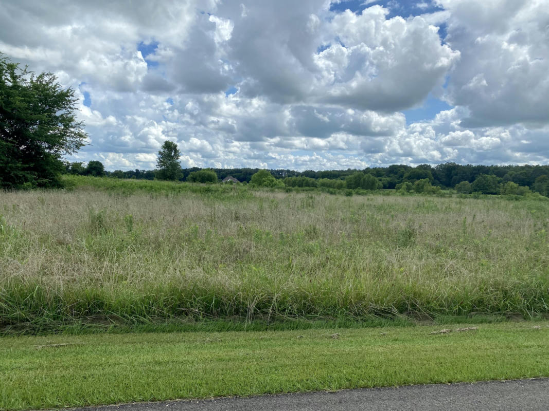 75 BRELAND OVERLOOK, COLUMBUS, MS 39701, photo 1