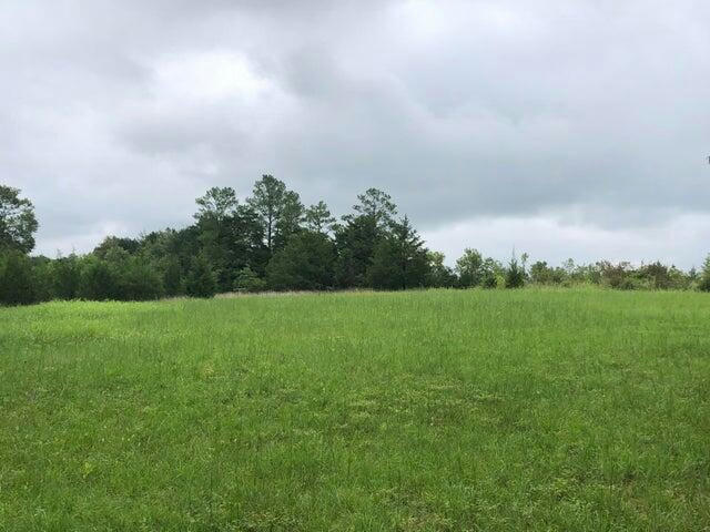 50 COUNTRY ESTATES DR, BROOKSVILLE, MS 39739, photo 1 of 3
