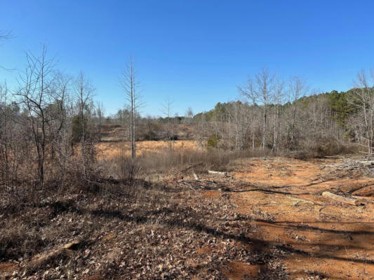 0 COUNTY RD 4130, NEW SITE, MS 38859, photo 3 of 6