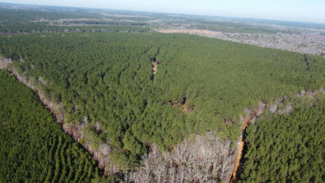 GRAY RD, STARKVILLE, MS 39759, photo 2 of 31